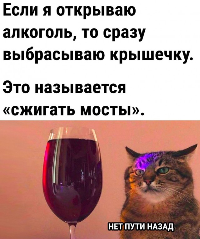 Весёлый полтишок 27.07.23