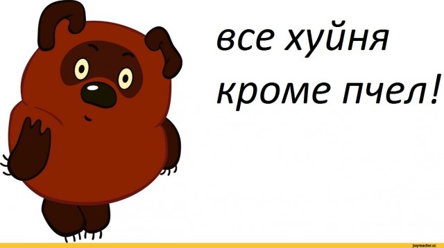 17 познавательных фото, помогающих утолить жажду знаний не хуже холодной минералки в знойный день