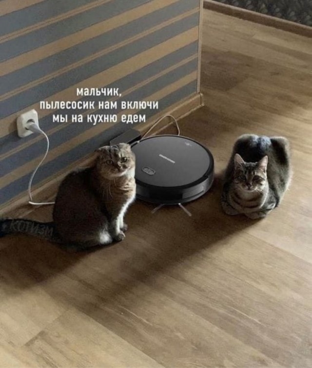 Как Вячеслав Бутусов с Америкой прощался (история песни «Последнее Письмо»)