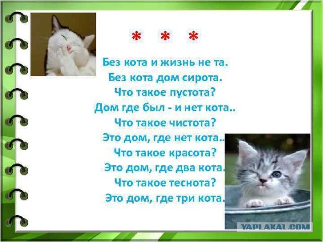 Извините, что я так настойчив, но... когда же, все-таки, ужин?!