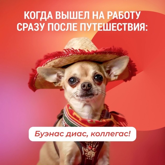 Весёлый полтишок 04.03.24