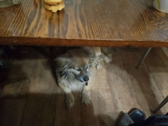 Сборник рассказов ЯПовских авторов. Обсуждение проблемы.