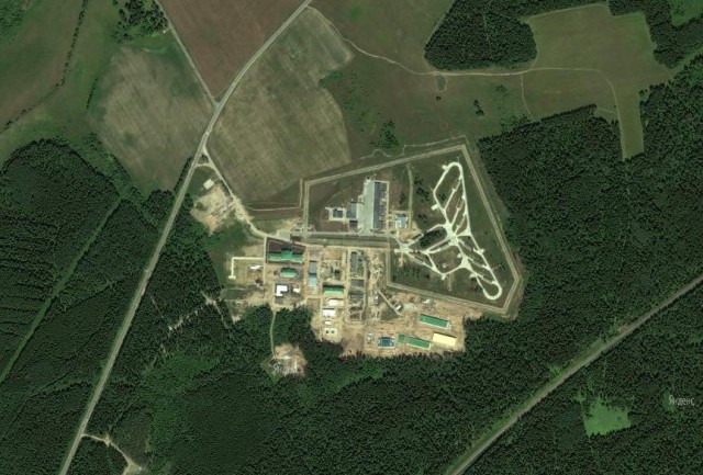 Тополя вернулись домой