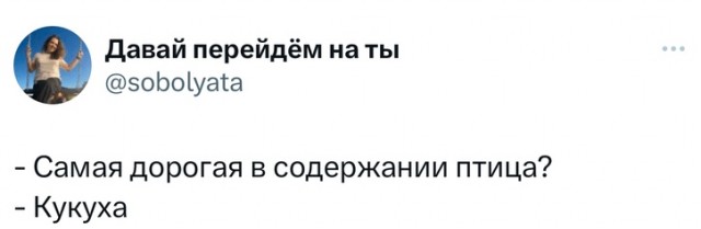 Так себе картинки 28.05.24