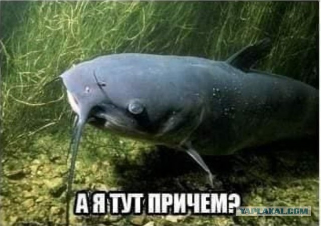 Хочу стать содержанкой