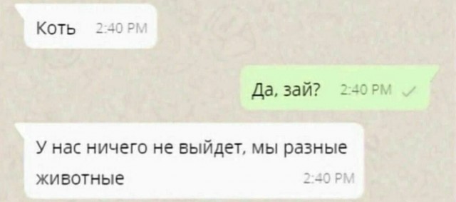 Картинки от Scodero