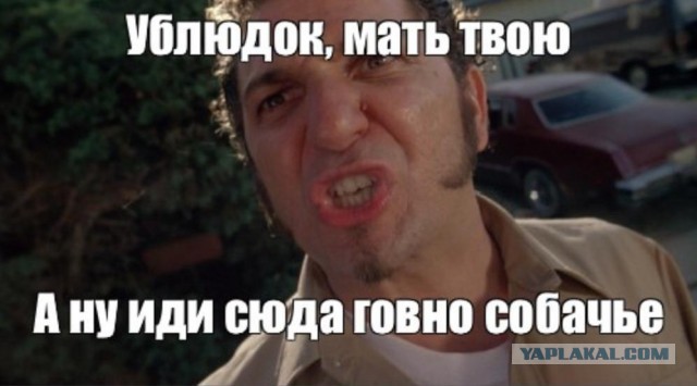 Есть переводчики?