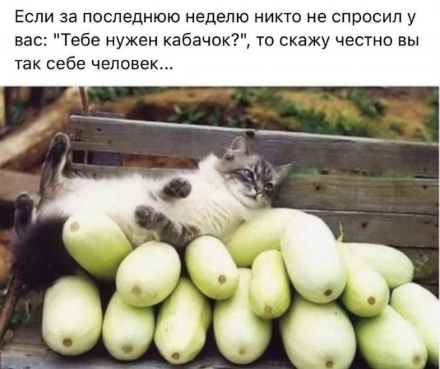 Началось!