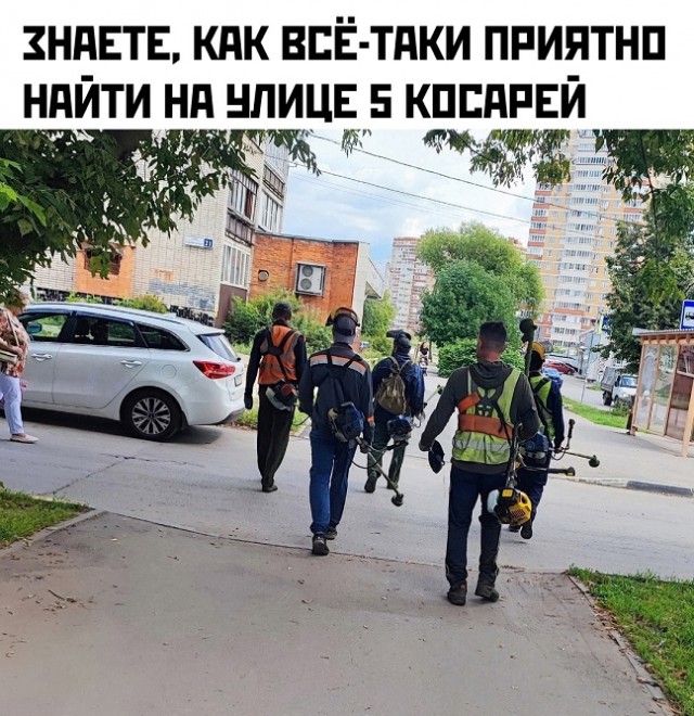 Весёлый полтишок 13.08.24