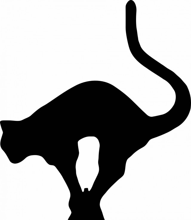Ищу подработку: Photoshop, CorelDraw, обработка изображений.