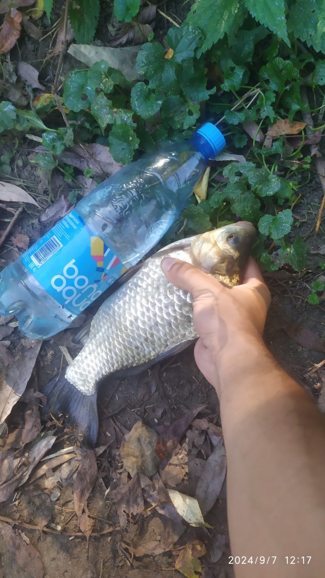 Ждун