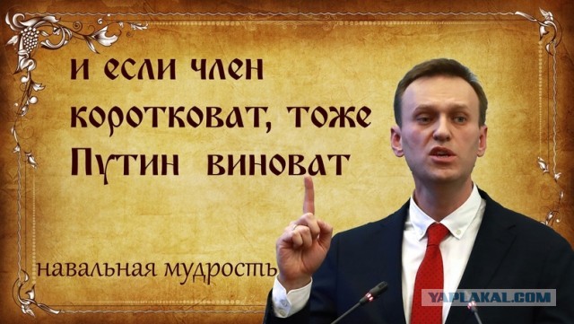 На платной трассе М12 Москва-Казань лось убил водителя