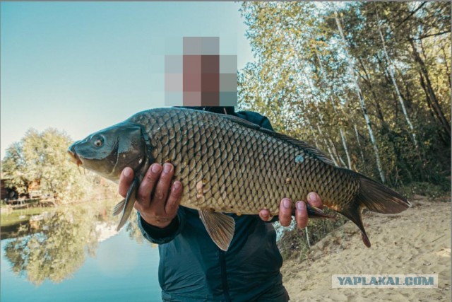 Рыбалка на реке Березина