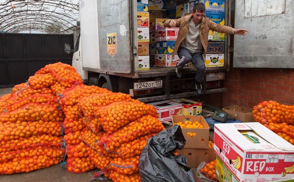 В Абхазии сообщили о запрете на ввоз мандаринов в Россию
