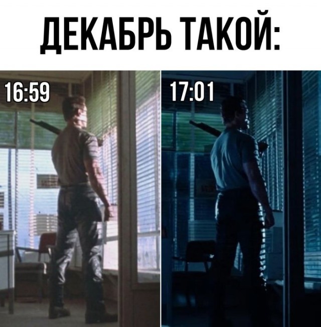 Веселые картинки в понедельник (23.12)