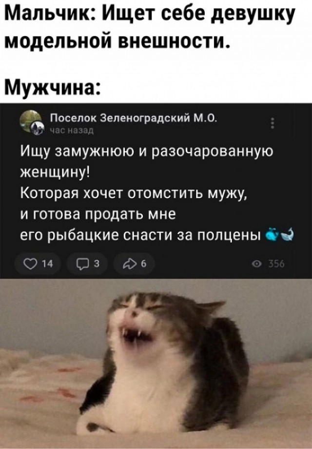 Баяны: апрель 2023 г - июль 2023 г