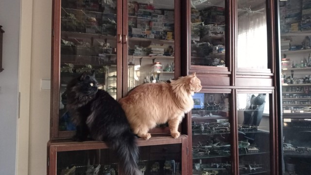 Клеим танчики
