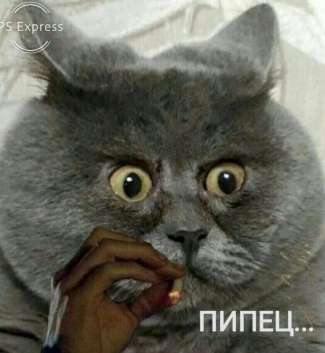 "Бежевые мамы"