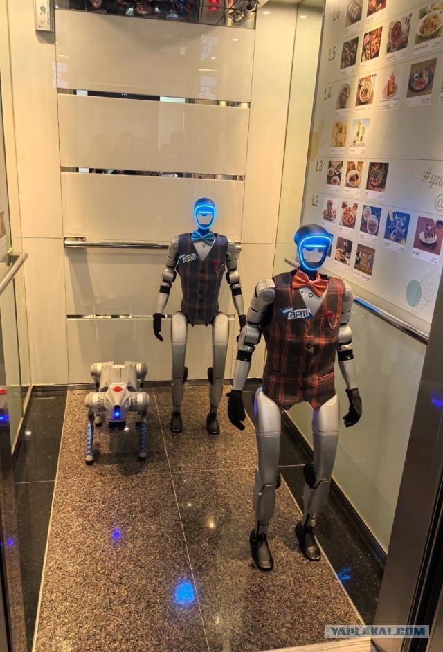 Роботы в Китае: уже сегодня, а не завтра