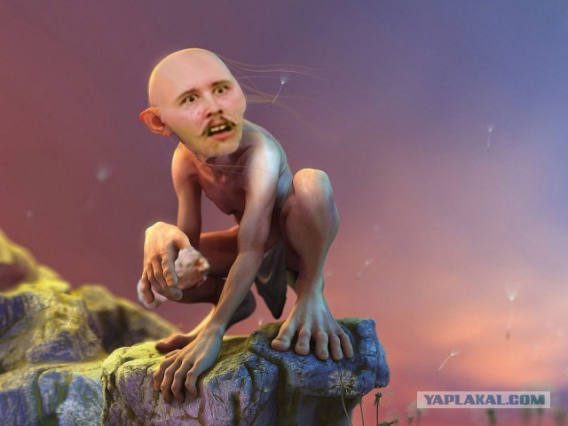 Мой друг нашел картошку!