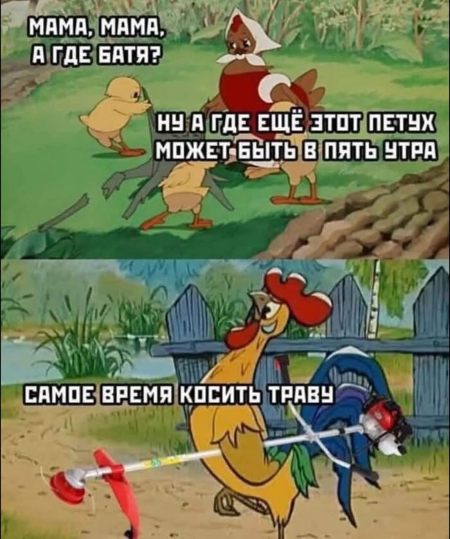 Веселое настроение в картинках (12.07.2025)