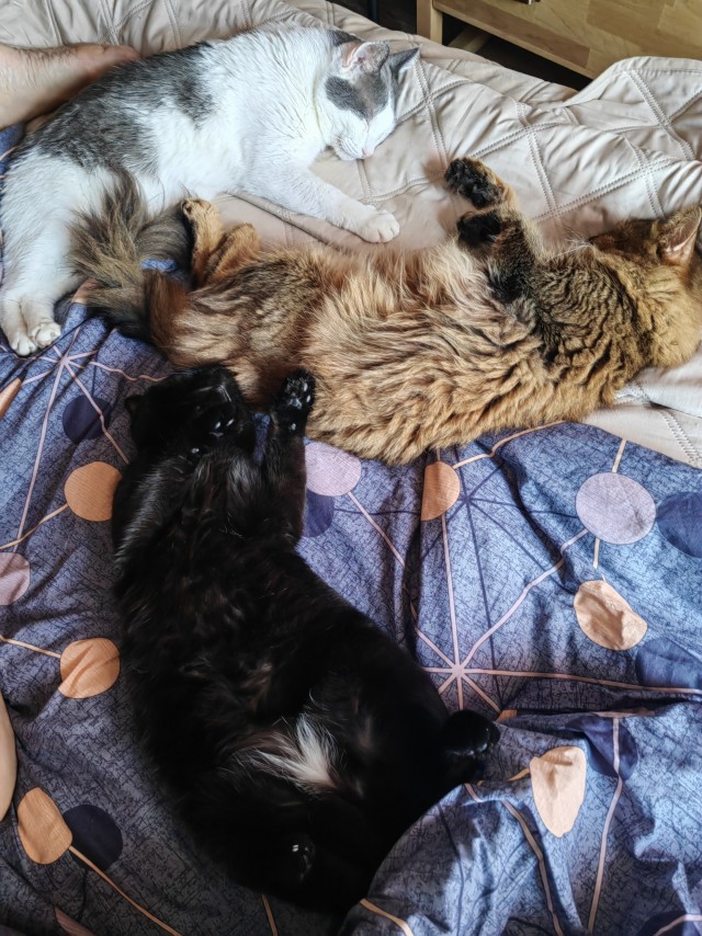 Вопрос к знатокам