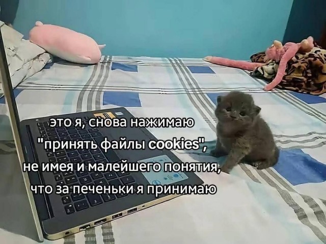 Веселые картинки в понедельник (11.08)