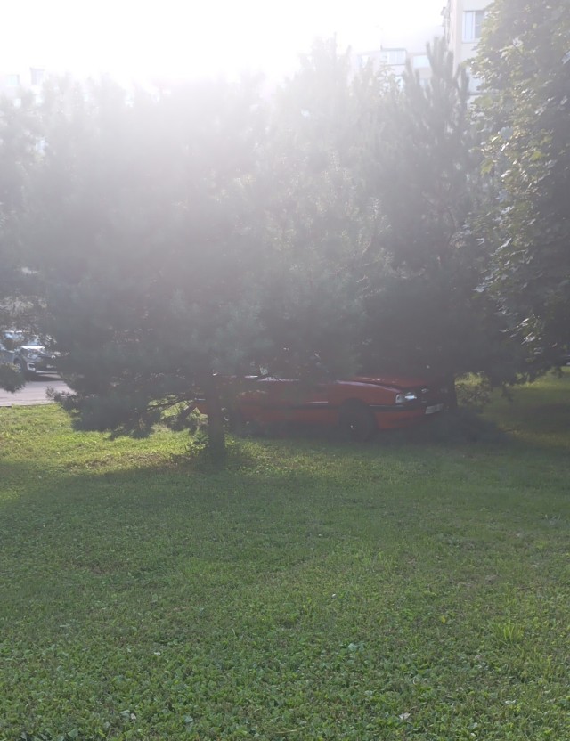 Сегодня во дворе. Лианозово