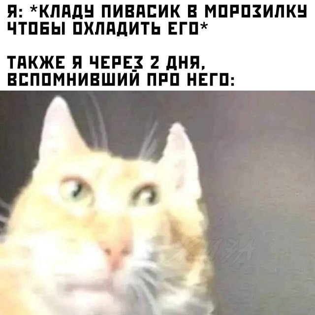 Немного картинкафф для настроения (баяны-перебаяны)