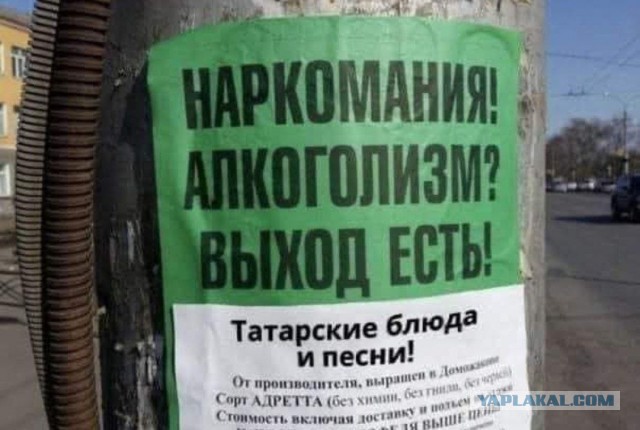 Литературный конкурс "КОКОС" 2025, читаем работы