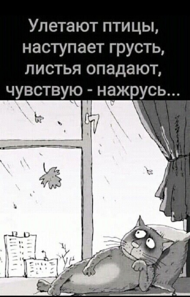 Так себе картинки 08.09.25