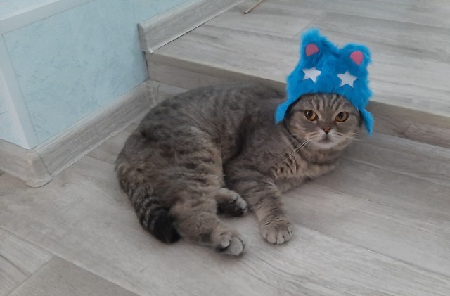 Здравствуйте, тут такое любят