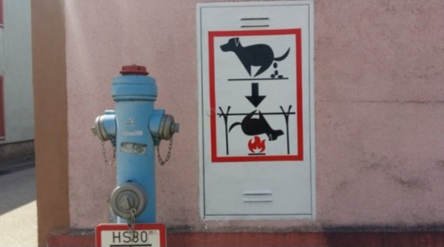 Так себе картинки 18.11.25