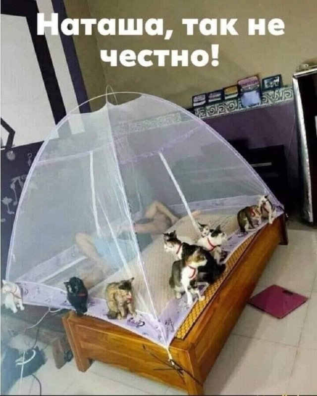 Так себе картинки 22.02.26