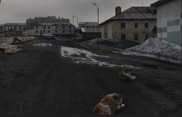 Очередное нападение на ребёнка