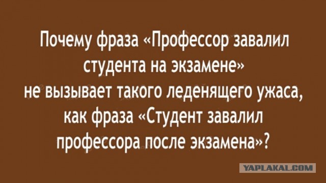 Сударыня Тударыня