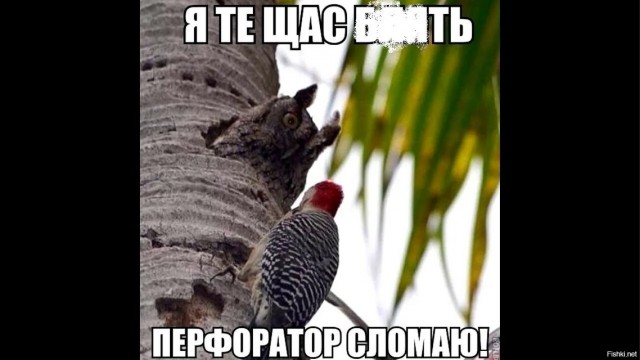 С добрым утром