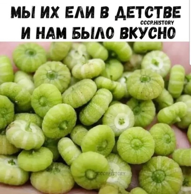 Картинки для деградации 230 (разной степени свежести)