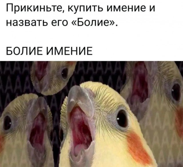 Картинки для деградации 235 (разной степени свежести)