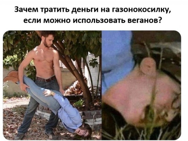 А ведь правда