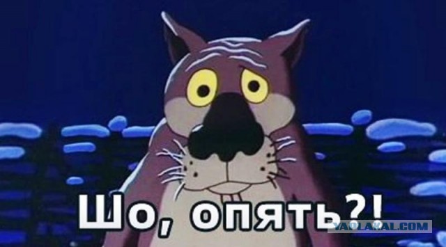Очереди на границе с Грузией достигают 2.5 часа