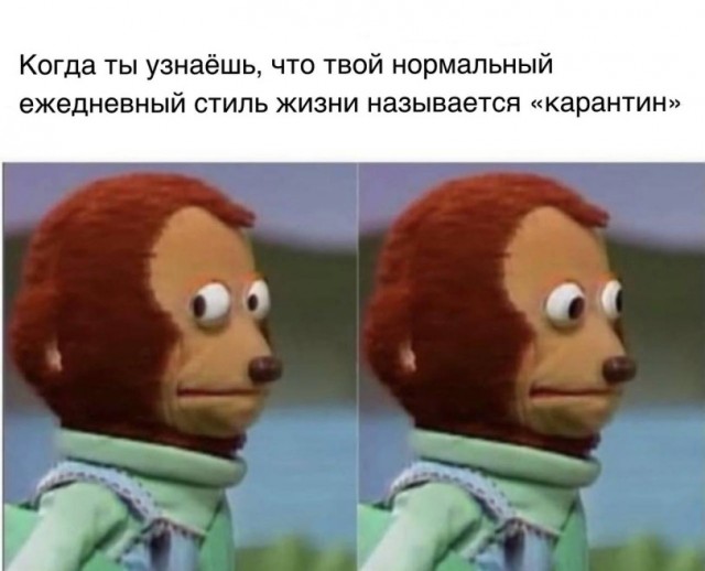 Картинки для деградации 294 (разной степени свежести)