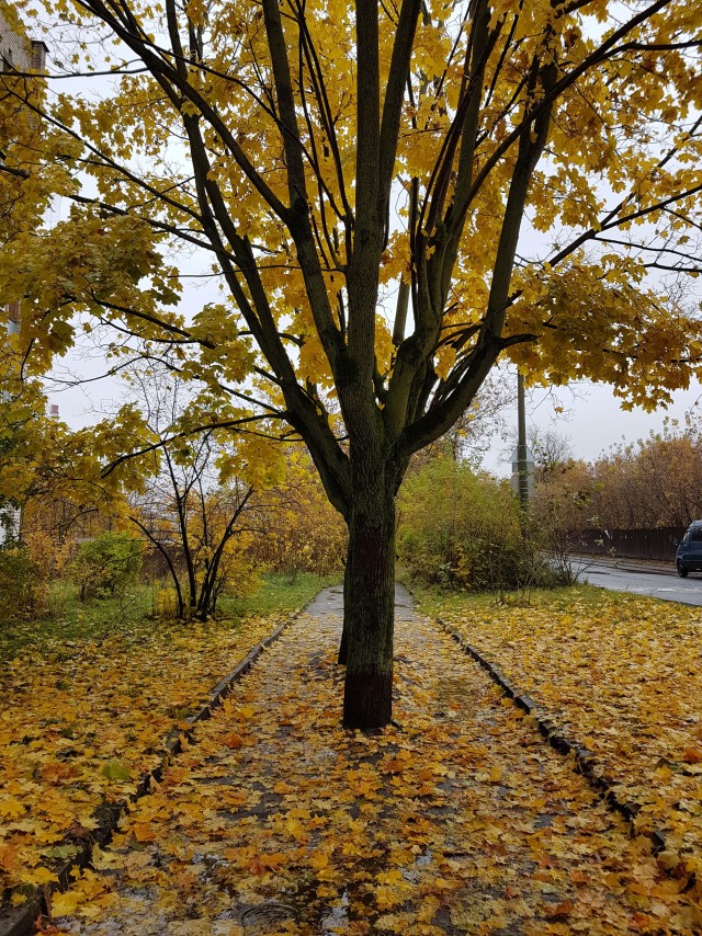 October