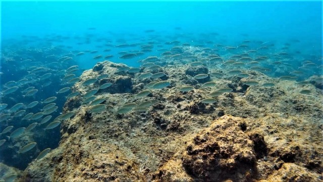 Под Средиземным морем лежит миллион кубических километров соли. Откуда она взялась