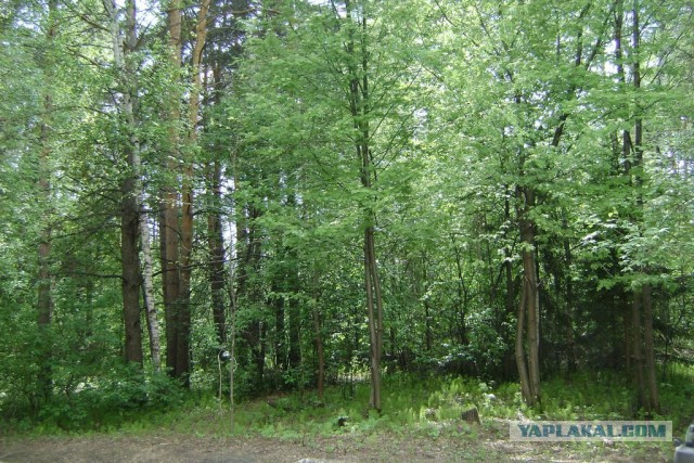 Новосибирск