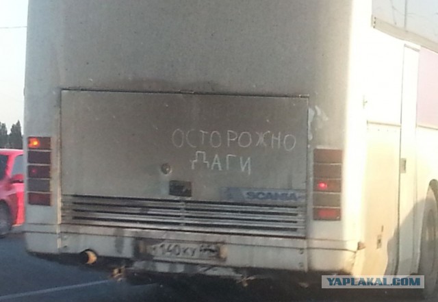 Пингвины! Они очкуют...
