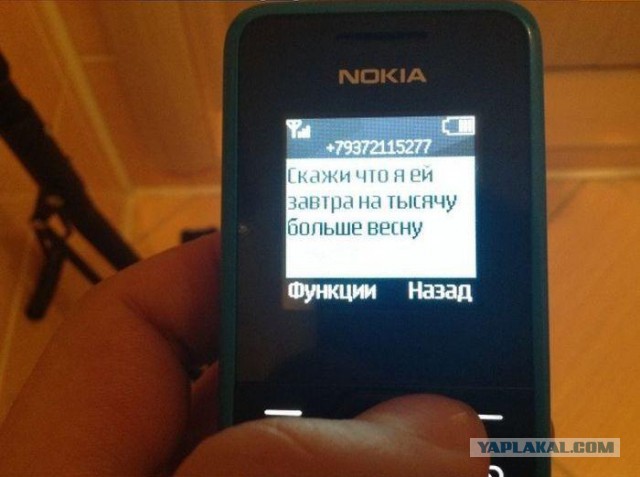 Иногда поражаешься наглости смс аферистов.
