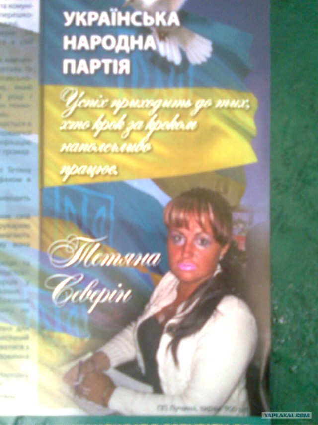 Кикисочка идет в депутаты