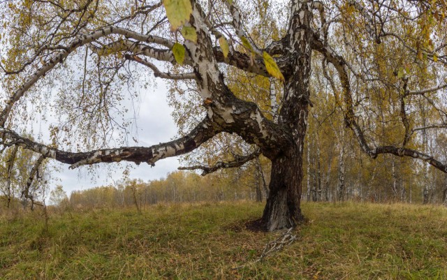 Деревенская Америка
