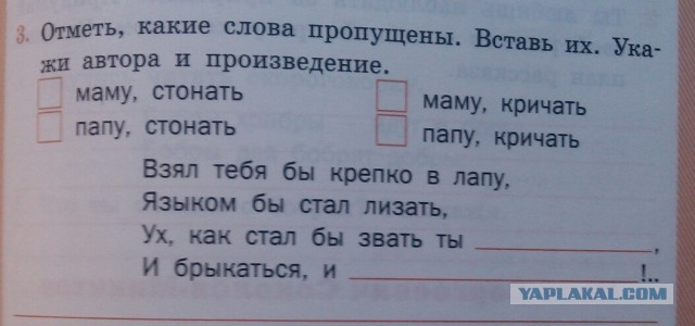 Забавные картинки из интернетов